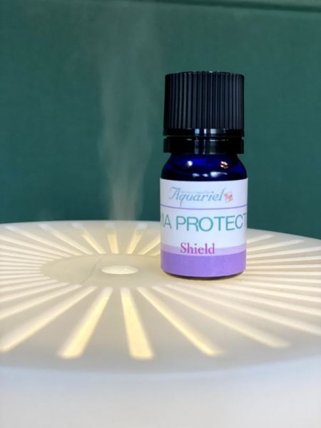 画像5: ディフューザー＆ディフューザーブレンドオイル (5)