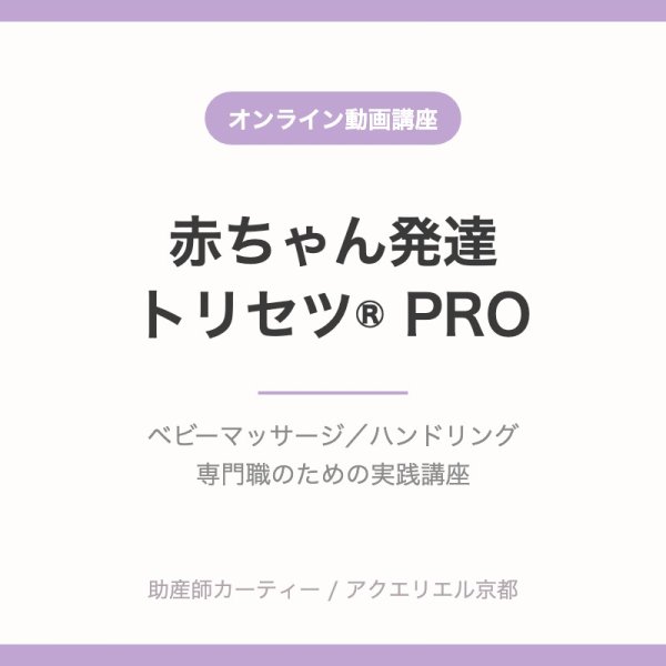 画像1: 【オンライン動画講座】赤ちゃん発達トリセツ® PRO（39,800円〜・税込） (1)