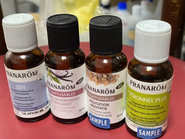 画像4: ディフューザー＆ディフューザーブレンドオイル (4)