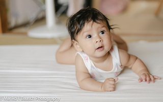 【2026年度】会員更新のお願い